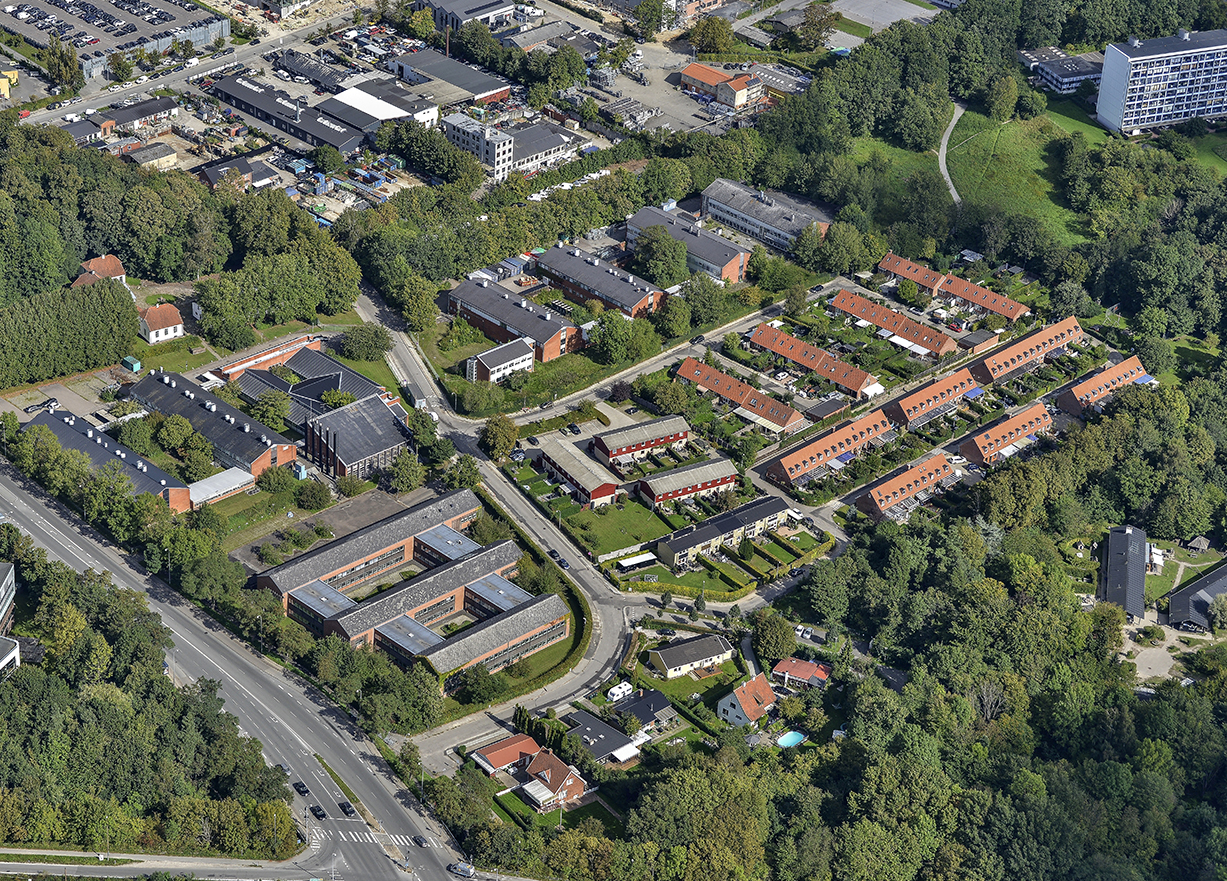 Mørkhøjgaard