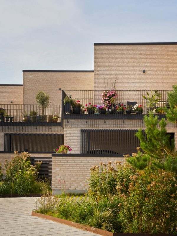 Terrasserne, carporte og frodig beplantning i Trongaarden